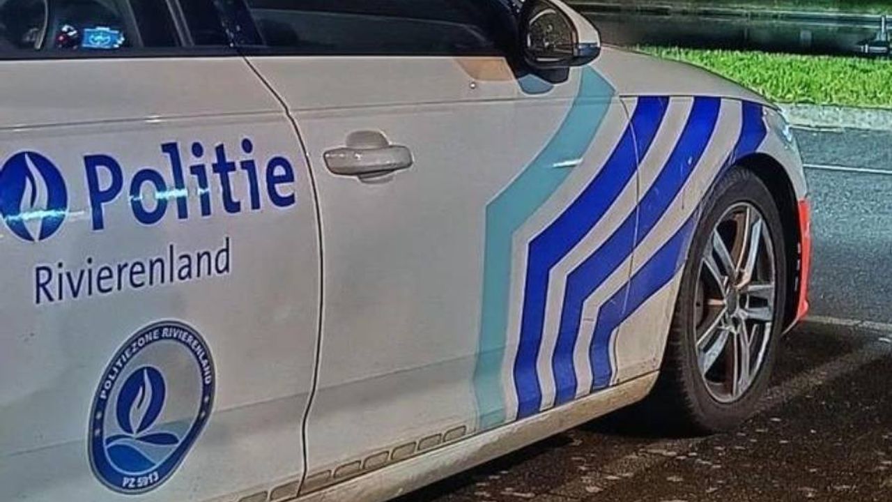 Belçika'da düğün konvoyuna polis müdahalesi: 7 ehliyete el konuldu