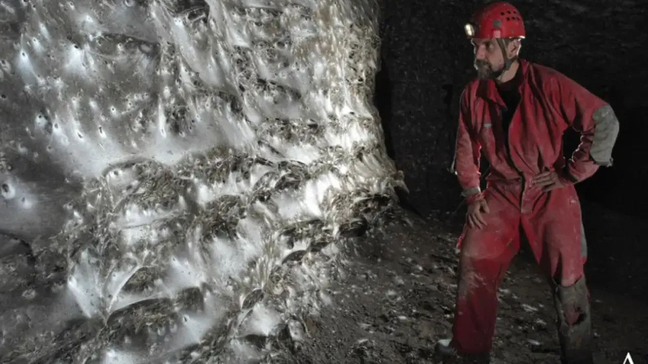 Dünyanın en büyüğü: 106 metrekarelik dev örümcek ağı keşfedildi