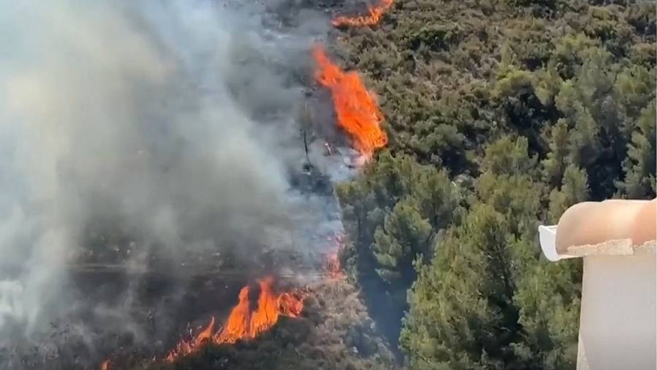 Fransa’da orman yangını: 110 kişi yaralandı, 400 kişi tahliye edildi