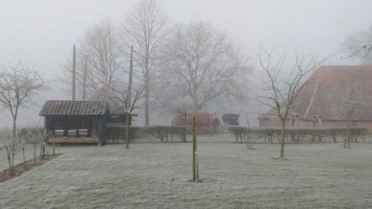 Hollanda’da don, Belçika ve Almanya’da kar bekleniyor