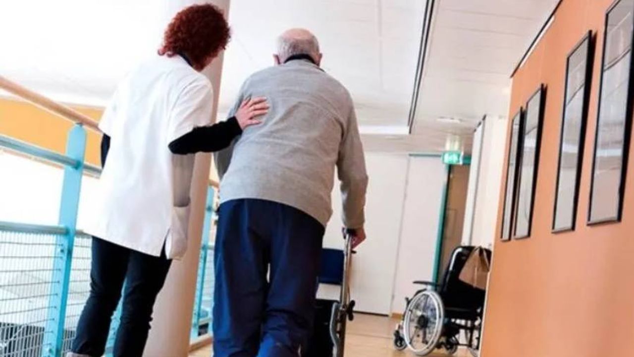 Hollanda’da sahte diploma skandalı sonrası işe alımda kontroller arttı